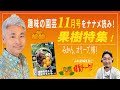 果樹特集！爆裂トーク！趣味の園芸11月号ナナメ読み！みかん、オリーブ、キウイ