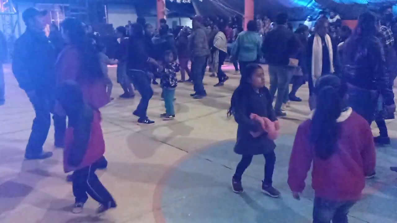 LOBO MIXTECO EN VIVO EN ORILLA DEL MAR TEPANTLALI MIXES 2021