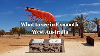 What to see in Exmouth West Australia