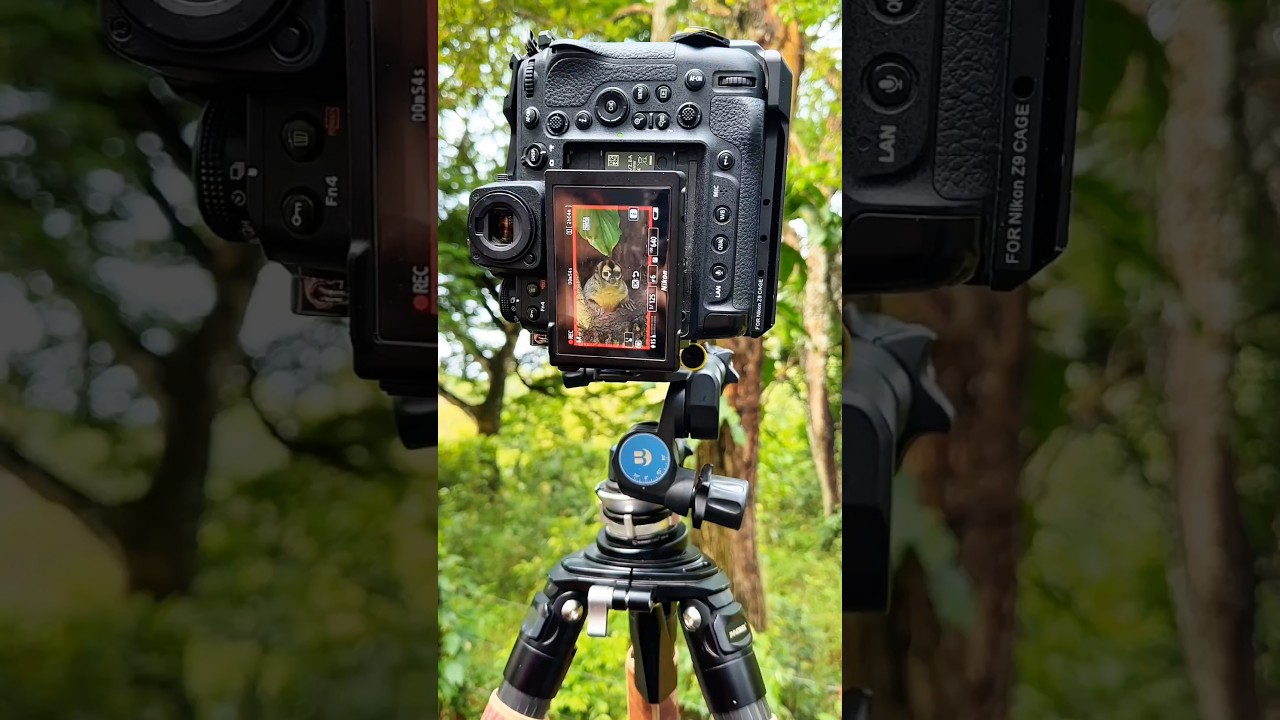 Creative Photography | Wildlife photography | Arif Photography BD | 