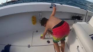 Florida Mini Lobster Season 2020