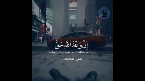 سورة لقمان ❤ | حالات واتس