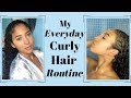 2019 everyday natural curly hair routine ii how i style my hair daily