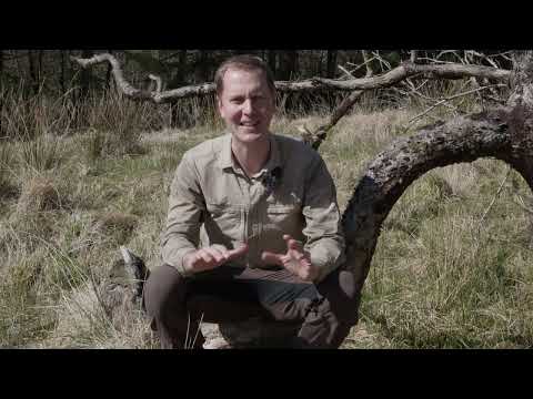 3 years off grid and still here