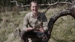 3 years off grid and still here