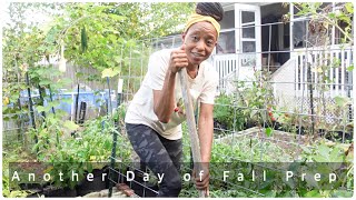 When Fall Comes - Ep. 2 | Bed Clearing | I Love Grow Bags | Finally Harvesting Roselle/Sorrel (Q&A)