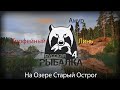 Русская Рыбалка 4!РР4! Russian Fishing 4! Карп,Амур и Трофейный Линь! На Озере Старый Острог!!!