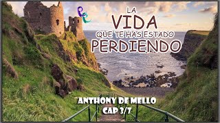 REDESCUBRIR LA VIDA | ANTHONY DE MELLO | ESPAÑOL - CAPÍTULO 3/7