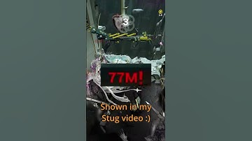 Mirage makes EVERY weapon broken