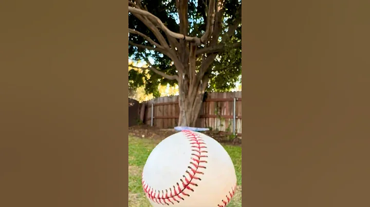 ⚾️ the floating baseball ⚾️ #trickshots #baseball