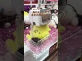 クレーンゲームプロ 風の王 かけぞう 本日の釣果 その2 ポムポムプリン