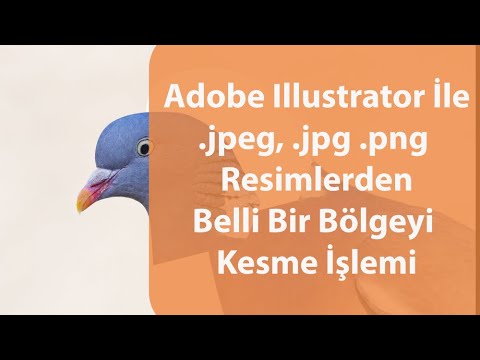 Adobe Illustrator İle .jpg .png Kesme İşlemi (Cut out an image)