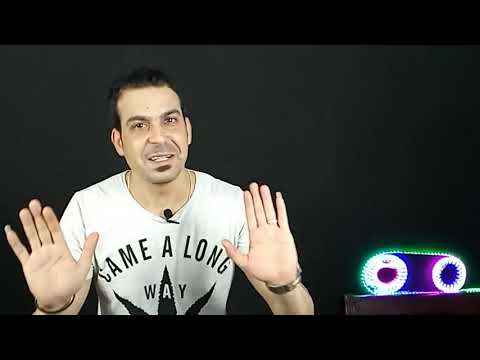 تفاصيل وحقيقة القبض على شهد شطة و كلاشنكوف