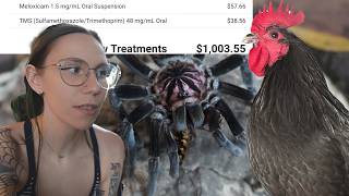 $1,000 Emergency Vet Trip - am i insane??