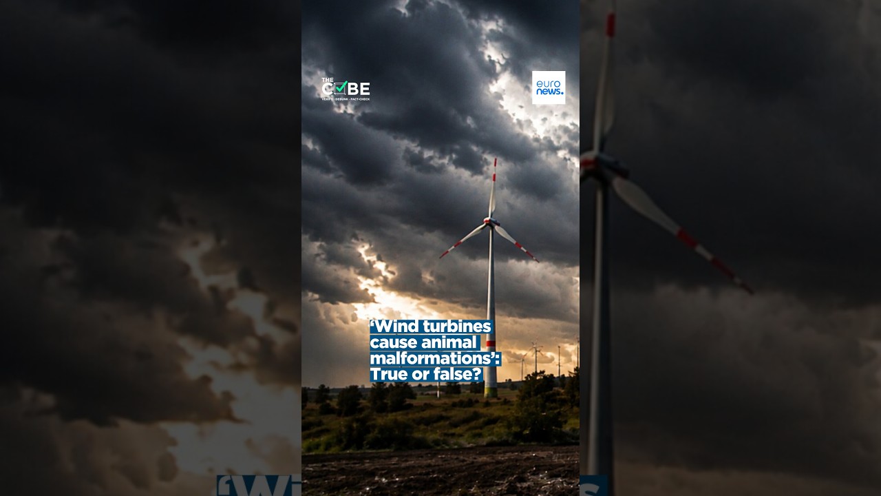 True or False: Wind Turbines Harm Animals?