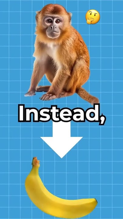 Why do monkeys eat bananas? 🤔 (EXPLAINED) - YouTube