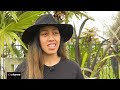 Three sisters receive moko kauae using traditional uhi matarau method