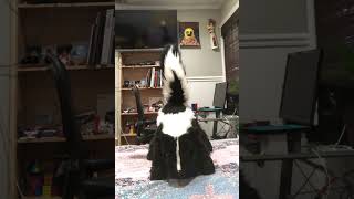 Realistic Stuffed Animal Skunk Spray