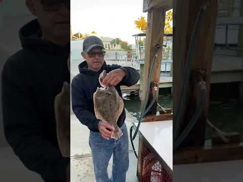 How To Filet A Flounder Perfectly
