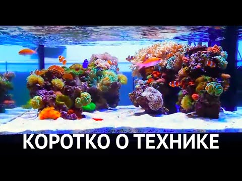 Морской рифовый аквариум коротко о технической стороне.