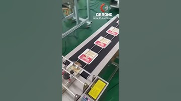 Automatic plastic bag pouch paging  feeding collecting machine for ink jet printer