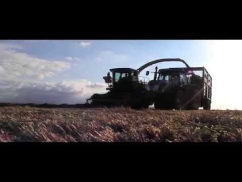 Pa Carroll Silage 2010