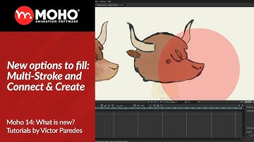 Moho 14 Tutorials: New options to fill: Multi-Stroke and Connect & Create