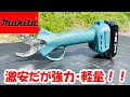 【makita】激安マキタ１８Vバッテリー充電式剪定ばさみで枝の処理をせよ！(互換)