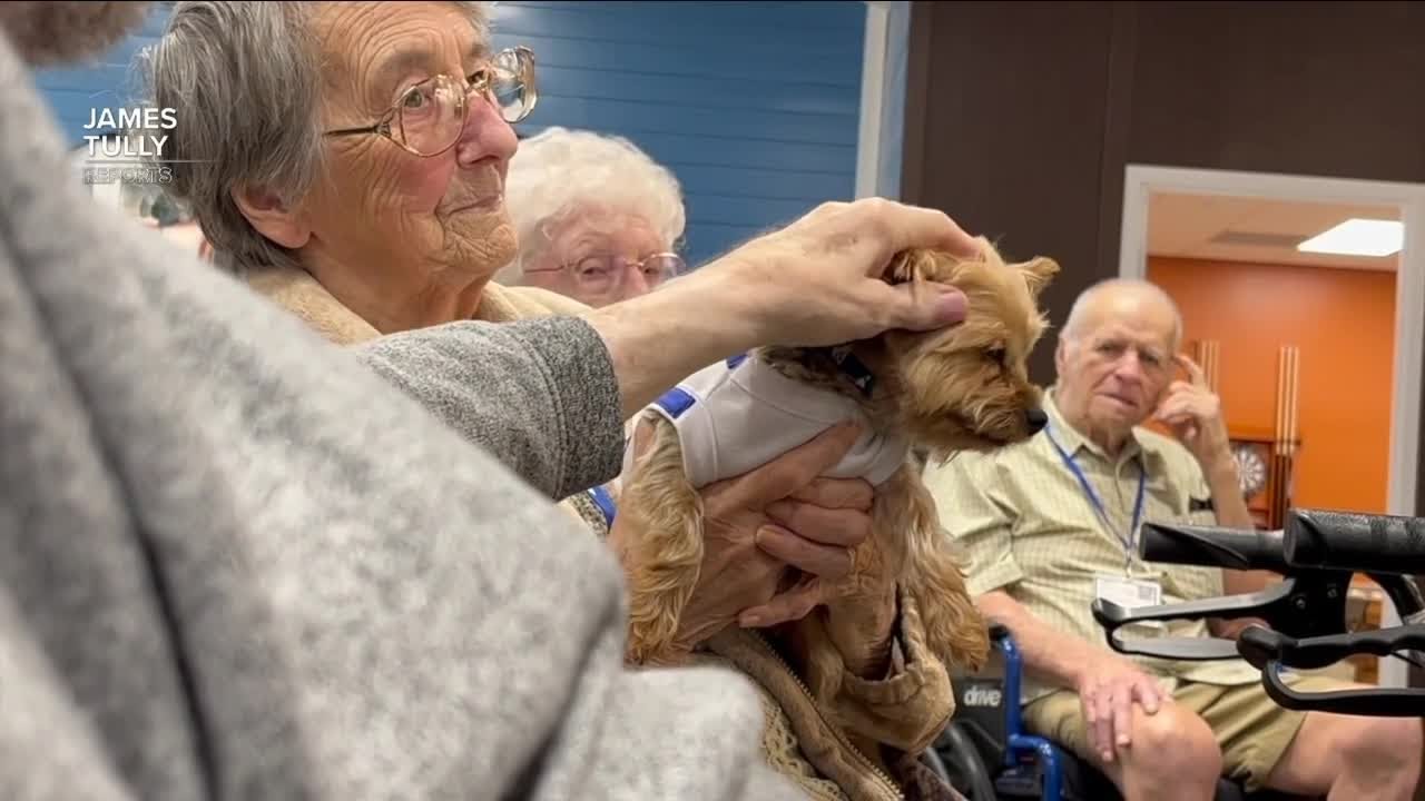 Teacup Yorkie provides joy to local dementia patients