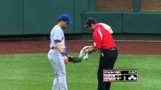 2012/08/19 Praying mantis interrupts inning