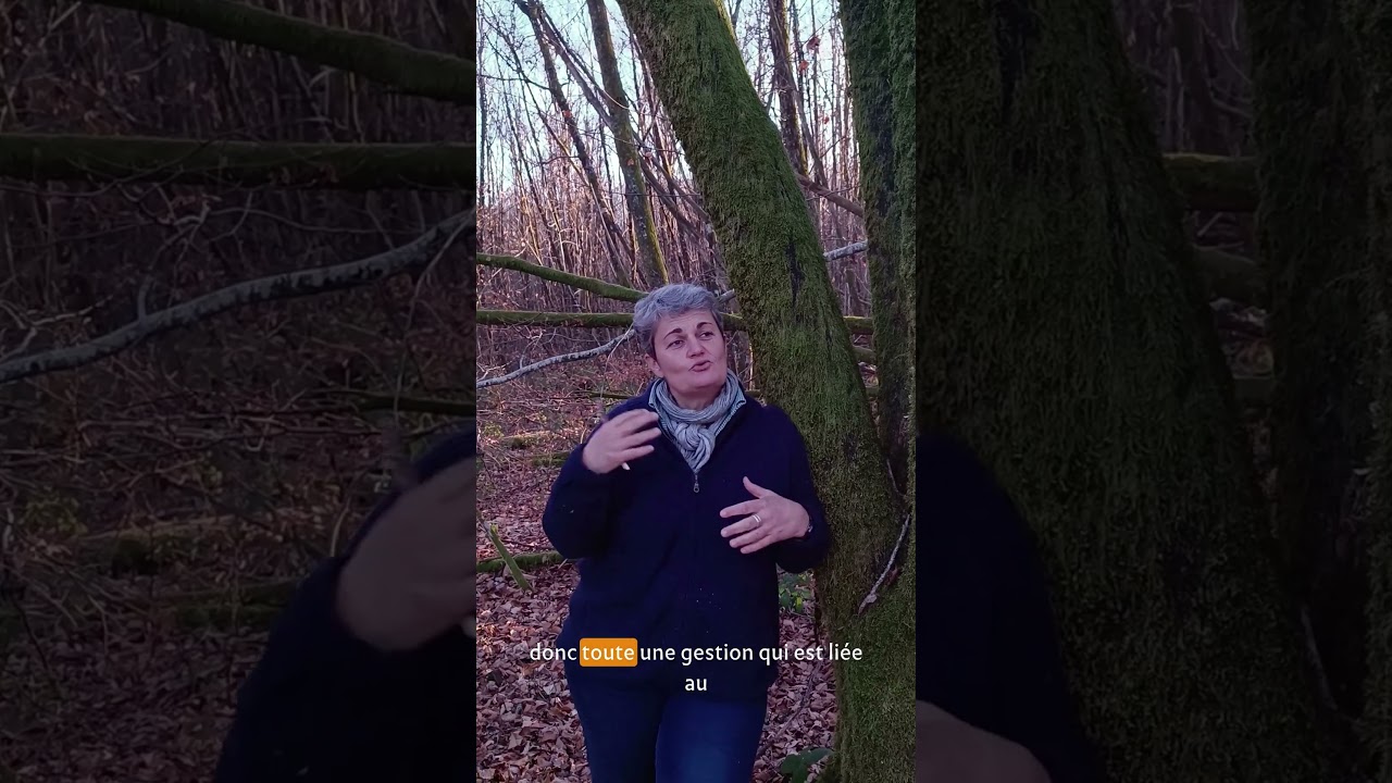 Nathalie r&eacute;pond &agrave; vos questions sur For&ecirc;ts en vie ! 🌳