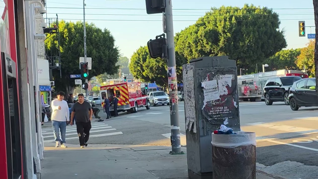 11.24.2025 the praying mantis 