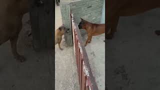 11 De Janeiro De 2022