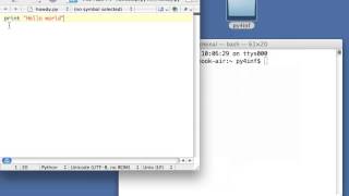 Python for Informatics: Exercise 2.2 Wealth