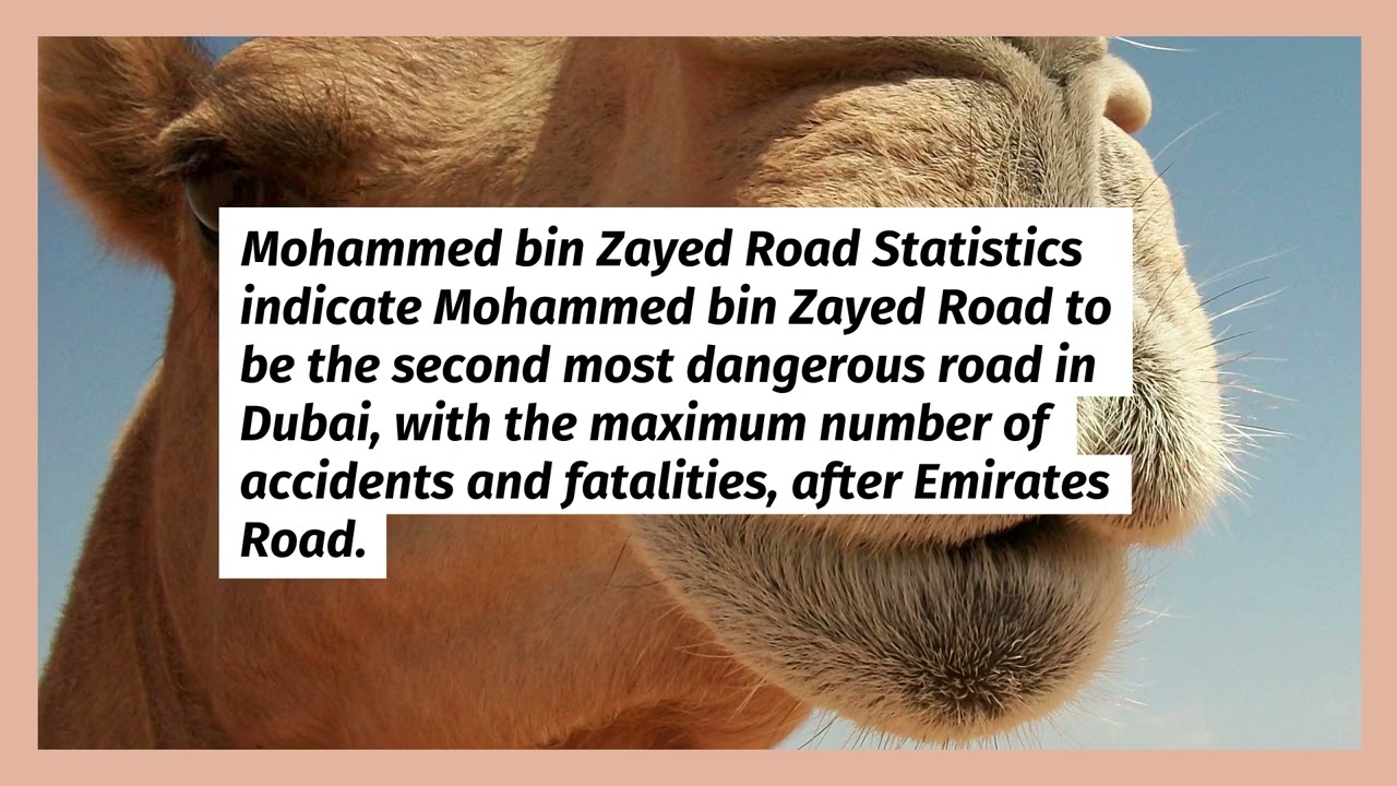 Top 5 Dangerous Roads in Dubai | driving in dubai