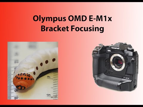 Focus bracketing with the Olympus OMD E-M1x camera