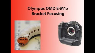 Focus bracketing with the Olympus OMD E-M1x camera