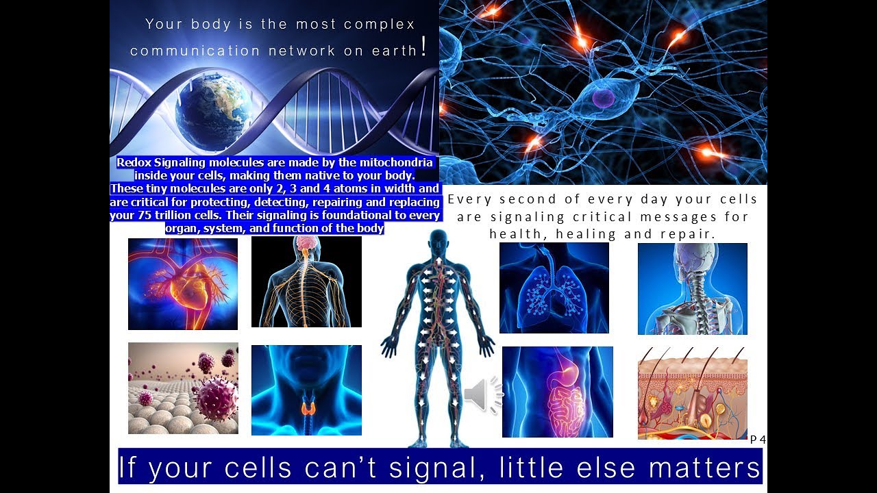 Redox P4 Redox Cell Signaling Molecules FUNday