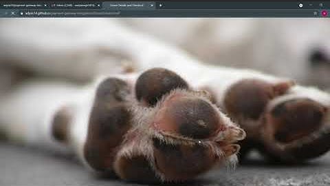 Task :3 | The Sparks Foundation | Web Development and Designing Intern