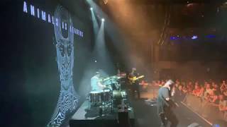 Animals As Leaders - Thoroughly at Home (Live @ Moscow Red Club 07-08-2019)