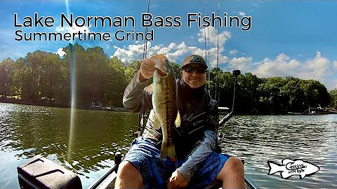 Lake Norman Bass Fishing Summertime Grind