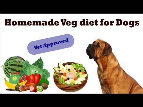 homemade-veg-diet-plan-for-dogs/puppy-(-in-hindi-)