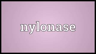 Nylonase Meaning