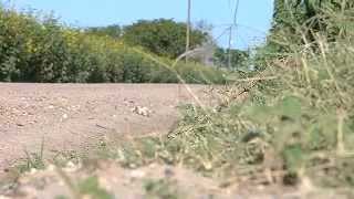 Human smugglers may want dead immigrant bodies found