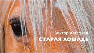 «Старая Лошадь». Виктор Астафьев. Аудиокнига