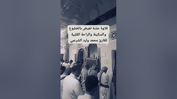 ماتيسر من سورة طه بصوت القارئ محمد وليد الشرعبي