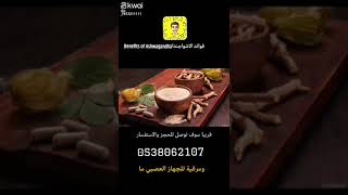 فوائد الاشواجندا عشبة Benefits of Ashwagandha عشبة العطارة ابوحاتم_العطار 0538062107 الطبيخه