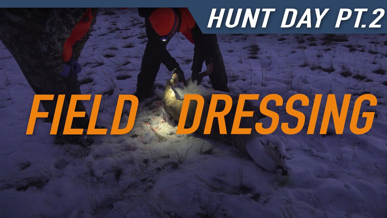 EP. 6 // Pt. 2 FIELD DRESSING WHITETAIL DEER Hunters Connect YouTube