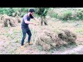 ||Storing grass for winters to feed animals|| A compulsory job for every villager in GB😍🏔️