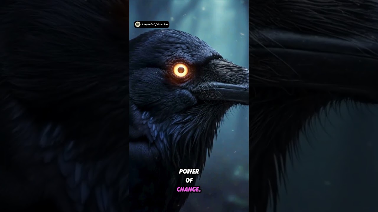 The Legends of the Raven 🦅 | Ancient Symbol of Mystery & Power 